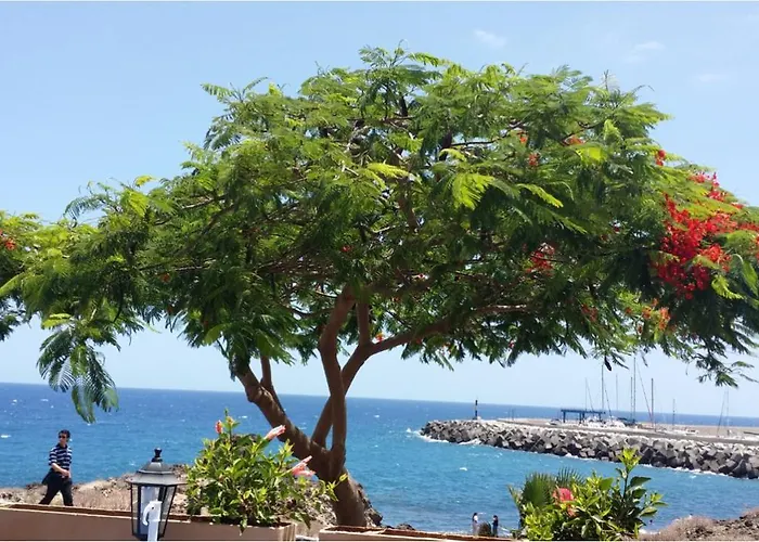810 - Edif Aguamarina - Vacation In The Coast Line Of Golf Del Sur *